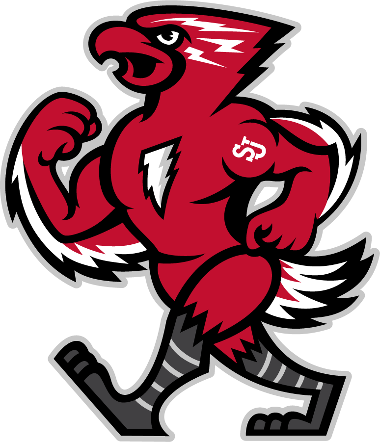 St. John's Red Storm 2013-2015 Mascot Logo diy iron on heat transfer